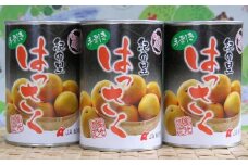 和歌山産手剥き八朔缶詰 約450g×8缶入り【2024年5月～順次発送】【TM14】