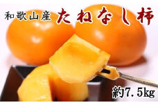 和歌山産たねなし柿（サイズおまかせ）約7.5kg・秀品【2025年10月上旬から11月上旬頃順次発送】【TM10】