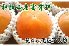 【厳選・産直】和歌山産の富有柿 約4kg（化粧箱入り）（2L～4Lサイズ）【2025年11月中旬から12月中旬頃順次発送】【TM60】