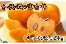 【甘柿の王様】和歌山産富有柿 約3.5kg サイズ混合【2025年10月末から11月末頃順次発送】【TM4】