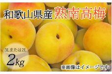 【梅干・梅酒用】（3Lまたは2L－約2Kg）熟南高梅【2026年6月上旬～7月上旬発送予定】【ART06】