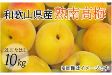 【梅干・梅酒用】（2LまたはL－約10Kg）熟南高梅【2026年6月上旬～7月上旬発送予定】【ART03】