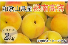 【梅干・梅酒用】（2LまたはL－約2Kg）熟南高梅【2026年6月上旬～7月上旬発送予定】【ART04】