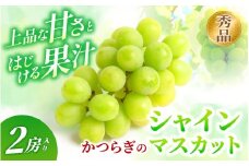 ＼受付期間終了間近！／ かつらぎ町産 シャインマスカット 2房入り〈秀品〉【2025年8月中旬～9月上旬頃出荷予定】/ 農家こだわり♪ マスカット ぶどう 葡萄 ブドウ フルーツ くだもの 果物 和歌山県 