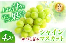 ＼受付期間終了間近！／ かつらぎ町産 シャインマスカット 4房入り〈秀品〉【2025年8月中旬～9月上旬頃出荷予定】/ 農家こだわり♪ マスカット ぶどう 葡萄 ブドウ フルーツ くだもの 果物 和歌山県 