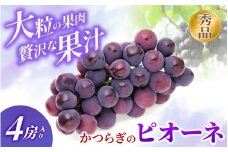 ◆先行予約◆ 和歌山県産 ピオーネ 4房入り〈秀品〉 【2025年8月下旬～9月上旬発送予定】
