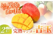 ◆先行予約◆和歌山県産　紀州完熟マンゴー『吉玉』2玉入り【2025年8月中旬から9月下旬頃順次発送予定】