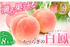 和歌山県産 白鳳 桃 5～8玉入り 秀品 先行予約【2025年6月下旬から7月下旬ごろ発送】