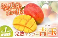 ◆先行予約◆和歌山県産　紀州完熟マンゴー『吉玉』約1kg程度／2～3玉入り【2025年8月中旬から9月下旬頃順次発送予定】