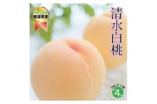 【糖度12％！！】契約農家自慢の清水白桃　(約4kg)【2025年7月中旬～8月上旬発送予定】