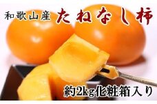 【秋の味覚】和歌山産たねなし柿 2L～4Lサイズ 約2kg（化粧箱入り）【2025年9月中旬から11月上旬頃順次発送】【TM39】