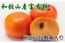 【厳選・産直】和歌山産の富有柿 約2kg（化粧箱入り）（2L～4Lサイズ）【2025年11月上旬から12月中旬頃順次発送】【TM59】