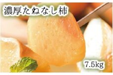濃厚たねなし柿　秀品　Mサイズ　約7.5kg入り【GO-01】
