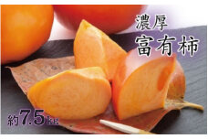 濃厚！富有柿　秀品　２L～４Ｌサイズ　約7.5kg入り【GO-04】