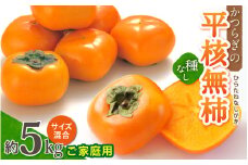【訳あり・ご家庭用】和歌山県産 平核無柿 約5kg 【2025年10月上旬～11月上旬順次発送】