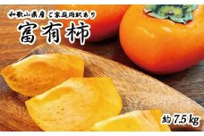【訳あり・ご家庭用】和歌山秋の味覚　富有柿　約7.5kg【2025年11月上旬頃～12月上旬頃発送予定】【UT47】