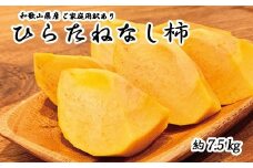 【訳あり・ご家庭用】平核無柿（ひらたねなしがき）約７.５kg 和歌山秋の味覚【2025年10月上旬頃～2025年10月末頃発送予定】【UT32w】