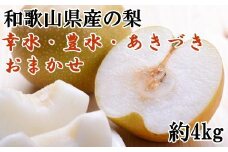 和歌山県産の梨 約4kg(品種おまかせ)【2025年8月下旬～10月中旬順次発送】