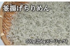 【海南塩津の港から直送】こだわりの冷蔵新鮮ちりめん 約250g×2パック【2023年6月上旬から2023年11月中旬ごろ順次発送】