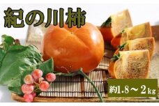 【希少】紀の川柿約1.8～2kg（種無し）秀選品【2025年10月中旬から11月中旬頃順次発送】【TM191】