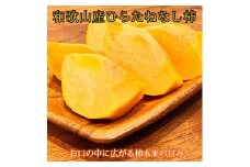 【訳あり・ご家庭用】平核無柿（ひらたねなしがき）約３.５kg 和歌山秋の味覚【2025年10月上旬頃～2025年10月末頃発送予定】【UT31w】