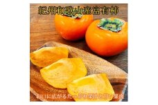 【訳あり・ご家庭用】和歌山秋の味覚　富有柿　約3.5kg　【2025年11月上旬頃～12月上旬頃発送予定】【UT51】