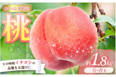 ＜甘い香りと果汁が自慢＞桃 6～8玉 (約1.8kg)【2025年7月上旬～8月上旬頃順次発送】/ 品種おまかせ もも モモ 桃 デザート フルーツ 果物 くだもの 果実 和歌山県 かつらぎ町 旬