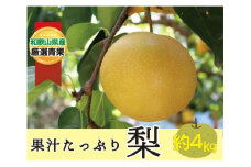 果汁滴る絶品の梨(約４Kg）【2025年8月中旬～2025年9月上旬頃順次発送】