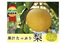 果汁滴る絶品の梨(約２Kg）【2025年8月中旬～2025年9月上旬頃順次発送】