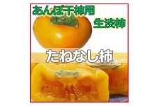 生渋柿たね無 あんぽ柿用 T軸枝無約4.5～5kg　約24～30個【2025年10月中旬～11月上旬ごろ順次発送】【ART16】