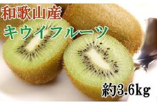 和歌山かつらぎ町産キウイフルーツ約3.6kg（玉数おまかせ）秀品【2026年1月中旬～2026年3月上旬頃順次発送】