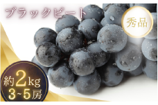 2kg箱入り（3~5房）種無し ブラックビート（ブドウ・ぶどう）【2025年7月下旬～順次発送（限定数量）】