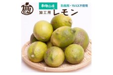 【訳あり】加工用 黒潮 レモン 約5kg+150g（傷み補償分） 和歌山有田産 防腐剤・WAX不使用 安心の国産レモン 訳あり わけあり レモン 果汁用【IKE80】【9月より発送】