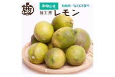 【訳あり】加工用 黒潮 レモン 約3kg+90g（傷み補償分） 和歌山有田産 防腐剤・WAX不使用 安心の国産レモン 訳あり わけあり レモン 果汁用【IKE81】【9月より発送】