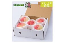 和歌山県産 桃 5玉～6玉 約1.5kg 秀品 【7月上旬～8月下旬頃発送予定】 【US35】