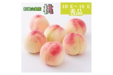 和歌山県産 桃 10玉～16玉 約4kg 秀品 【6月中旬～8月下旬頃発送予定】  【US37】