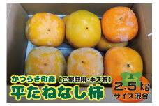 【訳あり・ご家庭用】 たねなし柿 約2.5kg 【2025年10月上旬から2025年11月上旬順次発送】