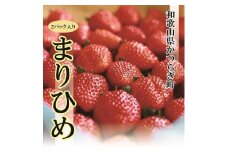 特選☆いちご【まりひめ】【1月中旬から5月上旬まで発送】【KF9】