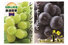 大人気 ぶどう セット 約1kg入 シャイン＆ピオーネ 【8月上旬～下旬発送】