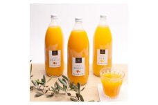 無添加 有田のジュース 詰合せ 1000ml×3本 3種【順次発送】【IKE88】