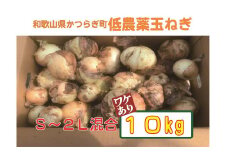 【2026年発送分・先行予約】【訳あり】農家さん直送　低農薬玉ねぎ　約10kg　S～2L混合 【ご家庭用※傷有り】【2026年4月中旬～7月中旬発送予定】