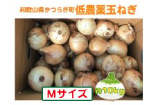 【2026年発送分・先行予約】農家さん直送　低農薬玉ねぎMサイズ　約10kg【2026年4月中旬～7月中旬発送予定】