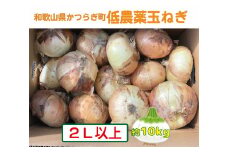 【2026年発送分・先行予約】農家さん直送　低農薬玉ねぎ2Lサイズ以上　約10kg【2026年4月中旬～7月中旬発送予定】