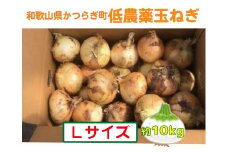 【2026年発送分・先行予約】農家さん直送　低農薬玉ねぎLサイズ　約10kg【2026年4月中旬～7月中旬発送予定】