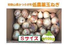 【2026年発送分・先行予約】農家さん直送　低農薬玉ねぎSサイズ　約10kg【2026年4月中旬～7月中旬発送予定】
