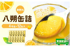 和歌山県産八朔缶詰（身割れ） 約425ｇ×12缶セット【入金確定後より7営業日以内に発送予定】/ 八朔 缶詰 はっさく フルーツ缶 八朔缶 シロップ漬け シロップ缶【KF7】