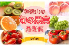 和歌山の旬の果実を 奇数月にお届け全6回定期便【TM49】