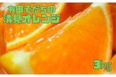 【訳あり・ご家庭用】清見オレンジ 約3kg【農家直送】【先行予約】【和歌山県産】【2025年2月下旬～3月下旬発送】