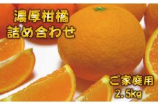【訳あり・ご家庭用】旬の 柑橘 詰め合わせ セット 約2.5kg【先行予約】【農家直送】【和歌山県産】【2025年1月中旬～4月下旬発送】