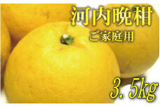 【ご家庭用】河内晩柑 約3.5kg【先行予約】【農家直送】【和歌山県産】【2025年4月上旬～4月下旬発送】